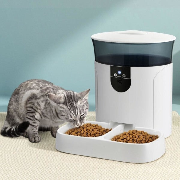 Automatic Cat Feeders