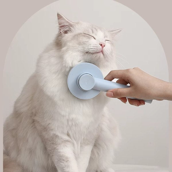 Cat Grooming Tools