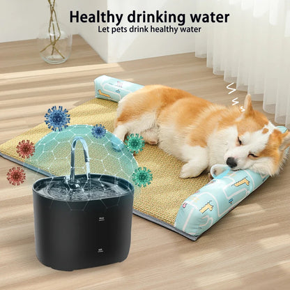 PurrFlow™ Stainless Steel Pet Water Fountain – Automatic Circulation, Ultra-Quiet Pump & Advanced Filtration for Cats